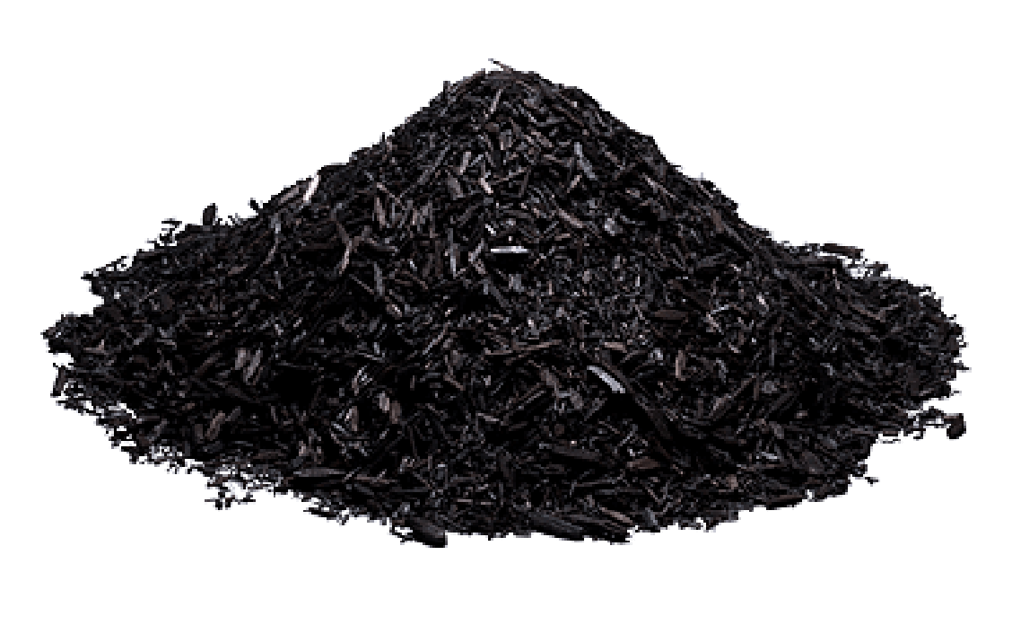Biochar close-up view
